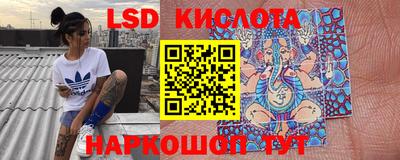 ГАЛЛЮЦИНОГЕННЫЕ ГРИБЫ Ковров