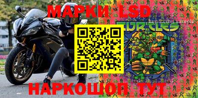 СК Будённовск