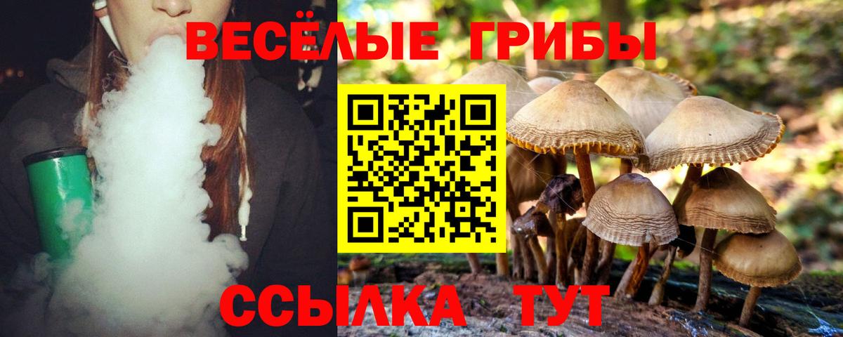 Псилоцибиновые грибы Magic Shrooms Лабинск