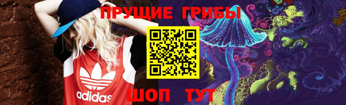 Лабинск  Галлюциногенные грибы Psilocybine cubensis  Вход с VPN 